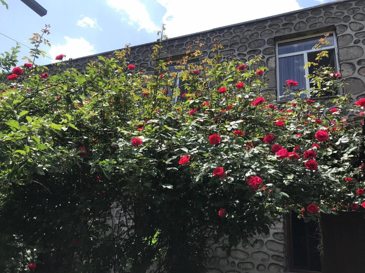 Mthnadzor Otel Goris Dış mekan fotoğraf
